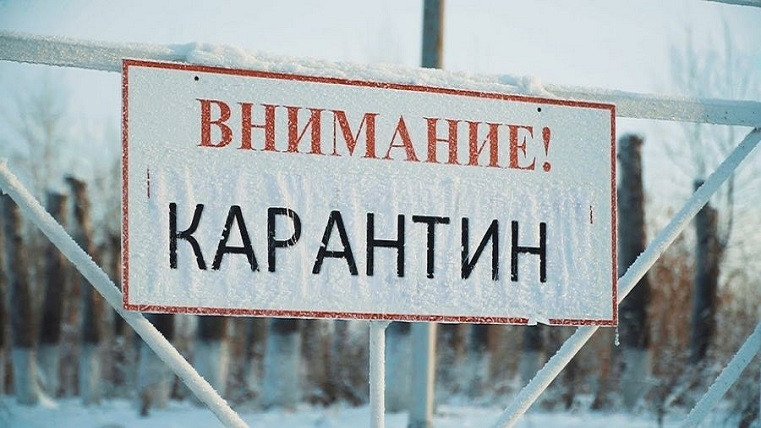 Базис72 уходит на карантин