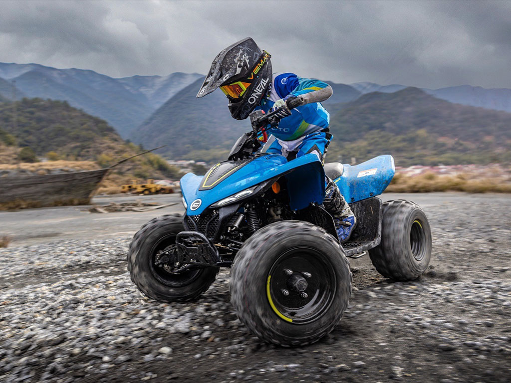 Новинка! Детский квадроцикл CFMOTO CFORCE 110