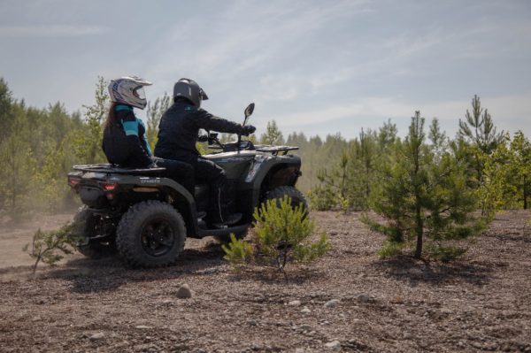 2-400-600x399.jpg 2-400-600x399.jpg