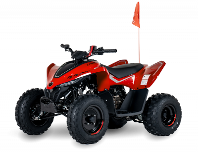 CFMOTO CFORCE 110 EFI