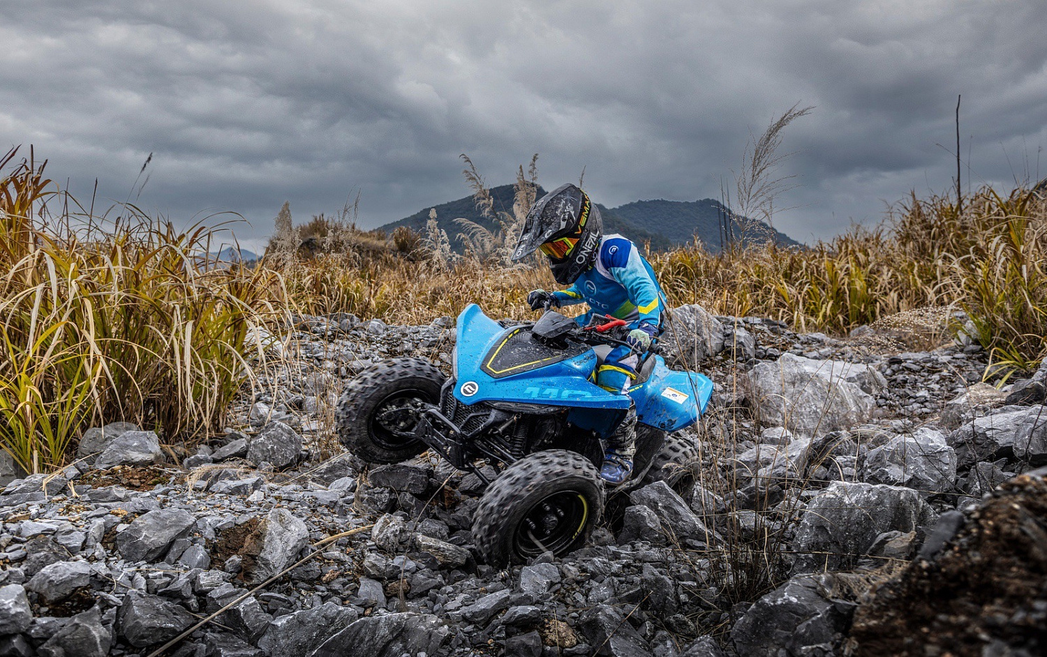 Новинка! Детский квадроцикл CFMOTO CFORCE 110